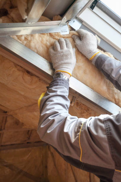 Best Cellulose Insulation  in Seth Ward, TX